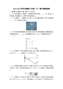 安徽省铜陵市2024-2025学年八年级下学期期中考试物理试题