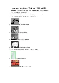 北京市2024-2025学年八年级下学期期中考试物理试题