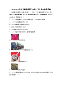 云南省昆明市2024-2025学年八年级下学期期中物理试题