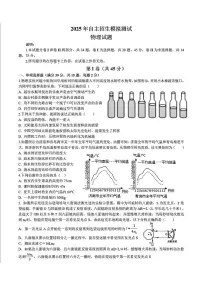 2025年山东省青岛市李沧区部分学校自主招生模拟测试物理试题（中考模拟）