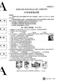 2025年陕西省渭南市合阳县中考二模物理试题（中考模拟）