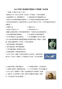 四川省成都市武侯区2025年中考 物理二诊试卷（含解析）