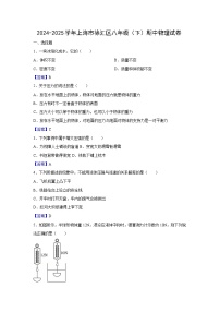 上海市徐汇区2024-2025学年八年级下学期期中考试物理试卷