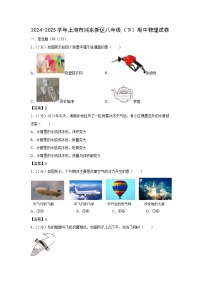 上海市浦东新区2024-2025学年八年级下学期期中考试 物理试卷