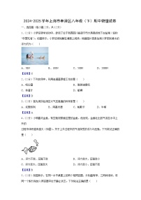 上海市奉贤区2024-2025学年八年级下学期期中练习卷物理试卷（解析版）