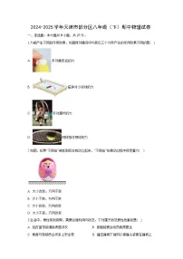 天津市部分区2024-2025学年八年级下学期期中物理试卷（解析版）