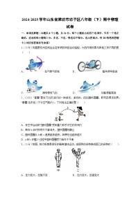 山东省潍坊市坊子区2024-2025学年八年级下学期4月期中物理物理试卷