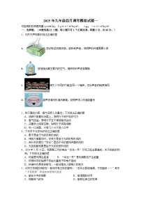2025年武汉市中考物理模拟试题（一）