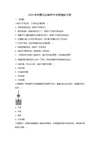 2025年内蒙古赤峰市中考练习卷物理试卷（解析版）