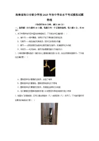2025年海南省海口市部分学校初中学业水平考试物理（二模）模拟试题（中考模拟）