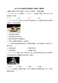 2025年山东省临沂市郯城县中考物理一模试卷（中考模拟）