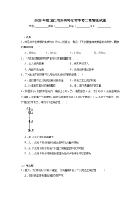 2025年黑龙江省齐齐哈尔市中考二模物理试题（无答案）