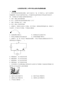 2025年山东省青岛市第二中学中考自主招生考试物理试题（中考模拟）
