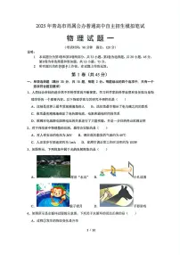 2025年山东省青岛市青岛大学附属中学自主招生物理模拟试卷3（中考模拟）