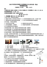 2025年山东省青岛市李沧区自主招生物理联考试题（中考模拟）