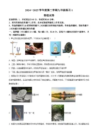 2025年河北省石家庄晋州市中考一模物理试题（中考模拟）