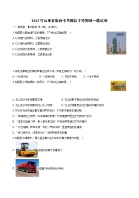2025年山东省临沂市莒南县中考物理一模试卷（中考模拟）