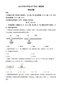 2025年山东省青岛市莱西市中考一模物理试题（中考模拟）