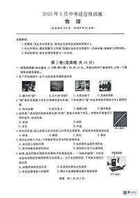 2025年广西壮族自治区中考三模物理试题（中考模拟 ）