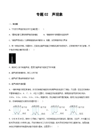 2025年中考物理专题复习讲义专题02 声现象（习题精选练习）（原卷版）
