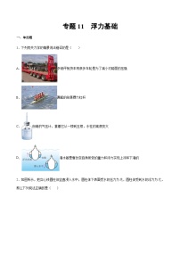 2025年中考物理专题复习讲义专题11 浮力基础（习题精选练习）（原卷版）
