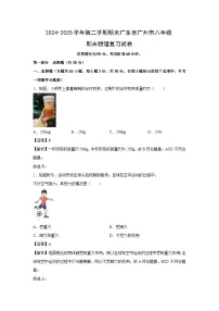 2024-2025学年第二学期期末广东省广州市八年级期末复习物理试卷（解析版）