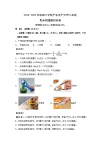 2024-2025学年第二学期广东省广州市八年级期末模拟物理试卷（解析版）