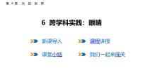 初中物理教科版（2024）八年级上册（2024）跨学科实践：眼睛说课ppt课件