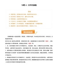 2025年中考物理专项复习讲义专题12 功和机械能(4大模块知识清单+5个易混易错+5种方法技巧+典例真题精析)(原卷版)