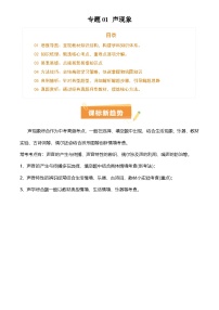2025年中考物理专项复习讲义合辑专题01 声现象(3大模块知识清单+3个易混易错+2种方法技巧+典例真题精析)(解析版)