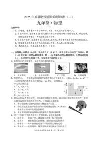 2025年四川省宜宾市长宁县中考二模考试物理试题