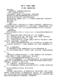 物理神奇的“眼睛”教学设计