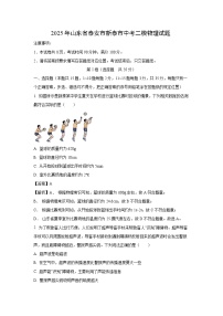 物理：2025年山东省泰安市新泰市中考二模试题（解析版）