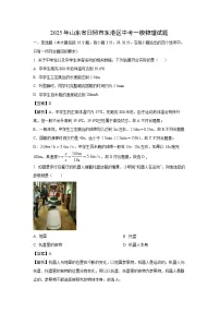 物理：2025年山东省日照市东港区中考一模试题（解析版）