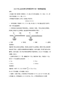 物理：2025年山东省青岛市莱西市中考一模试题（解析版）