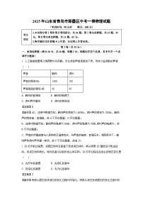 物理：2025年山东省青岛市即墨区中考一模试题（解析版）