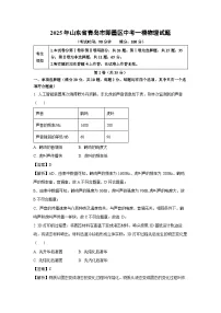 物理：2025年山东省青岛市即墨区中考一模试题（解析版）