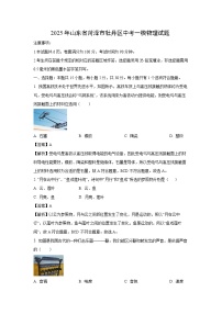 物理：2025年山东省菏泽市牡丹区中考一模试题（解析版）