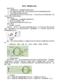 初中物理北师大版（2024）八年级上册（2024）爱眼宣传公益行教学设计