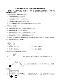 广东省茂名市2025年八年级下学期期末物理试题及答案
