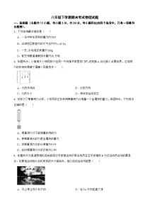 广东省深圳市龙华区2025年八年级下学期期末考试物理试题及答案