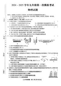 2025年深圳市深中系21校初三中考一模物理试卷含答案
