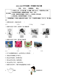 北京市第八中学2024－2025学年八年级下学期期中物理试题