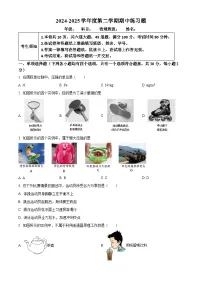 北京市第八中学2024－2025学年八年级下学期期中物理试题