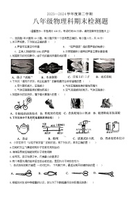 海南省海口市部分学校2023-2024学年八年级下学期期末考试物理试题