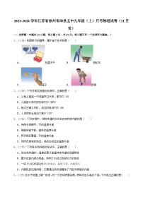 江苏省徐州市沛县五中2023-2024学年九年级上学期月考物理试卷（11月份）