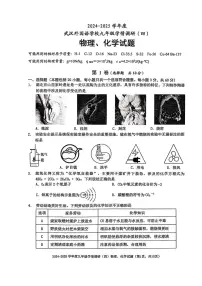 2025年湖北省武汉外国语学校九年级五调物理化学试卷　（中考模拟）