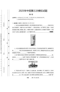2025年河南省驻马店市驻马店实验中学、市四中等部分学校联考中考三模物理试题（中考模拟）
