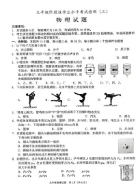 2025年山东省菏泽市牡丹区中考三模物理试卷（中考模拟）