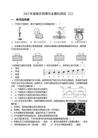 2025年黑龙江省哈尔滨市道里区中考三模物理试题（中考模拟）